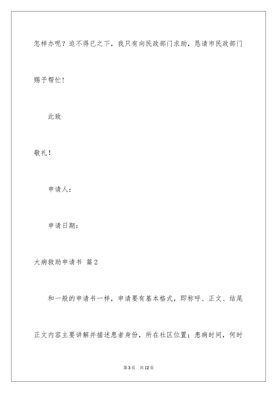 2024大病救助申请书_41_第3页