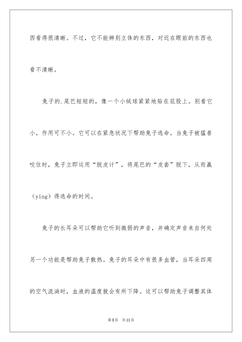 2024兔子小学生作文_1_第3页