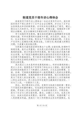 街道党员干部冬训心得体会