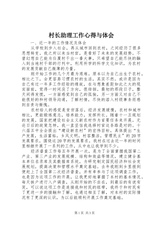 村长助理工作心得与体会