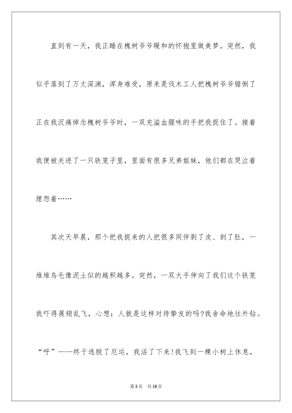 2024写给小鸟的一封信_第3页