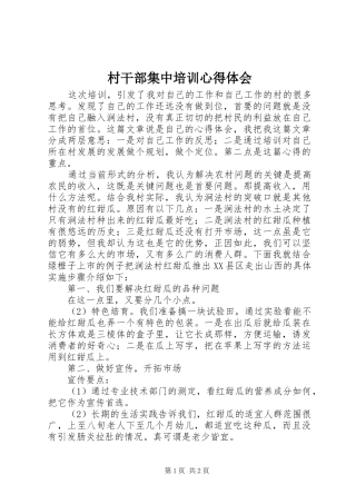 村干部集中培训心得体会