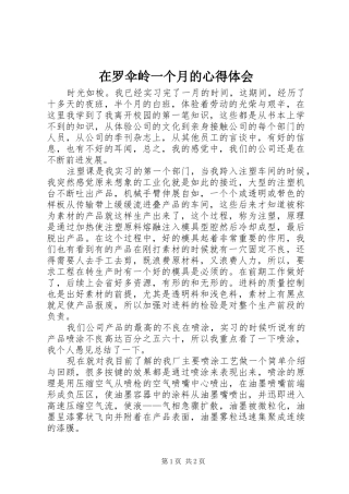 在罗伞岭一个月的心得体会