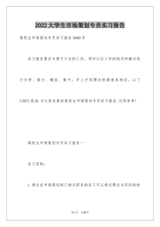 2024大学生市场策划专员实习报告