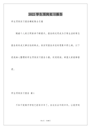 2024学生顶岗实习报告_2