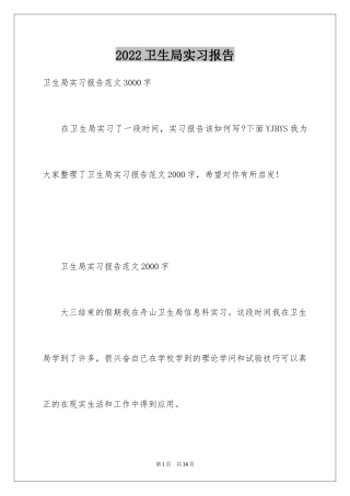 2024卫生局实习报告_1