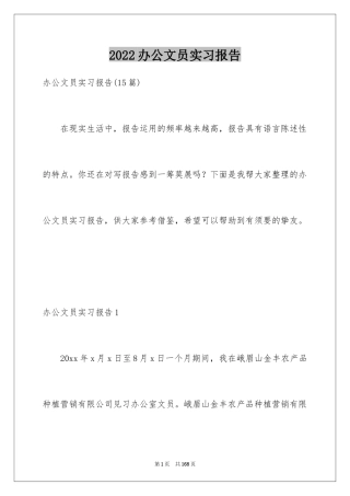 2024办公文员实习报告_13