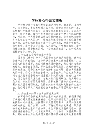 学标杆心得范文模板