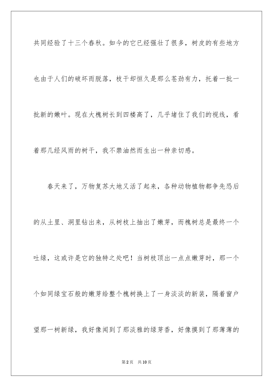 2024写奶奶的初中作文500字_第2页