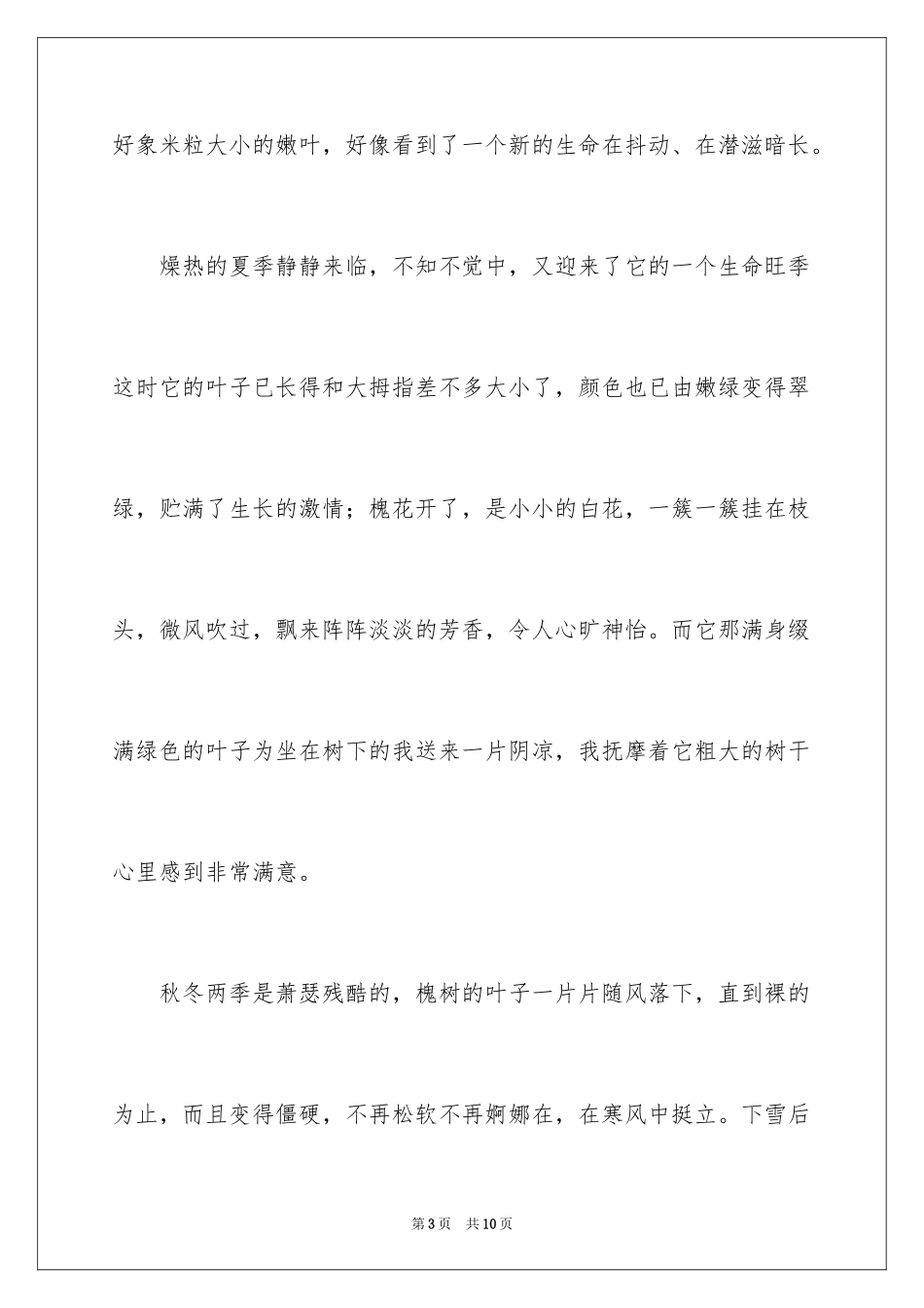 2024写奶奶的初中作文500字_第3页