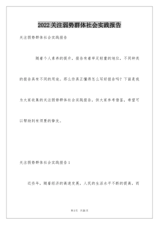 2024关注弱势群体社会实践报告