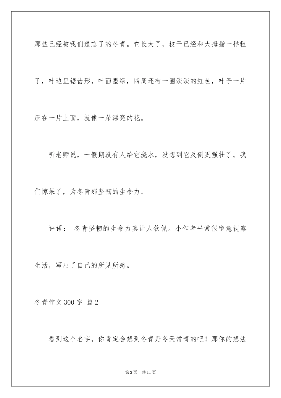 2024冬青作文300字_58_第3页