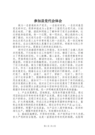 参加县党代会体会