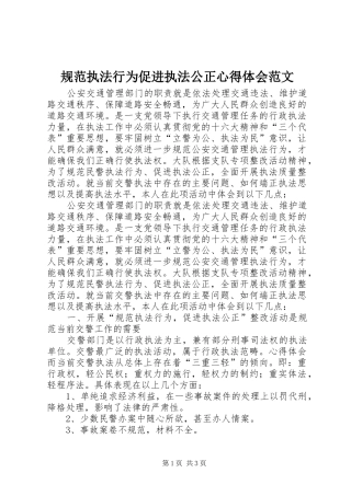 规范执法行为促进执法公正心得体会范文