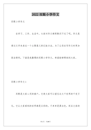 2024双眼小学作文