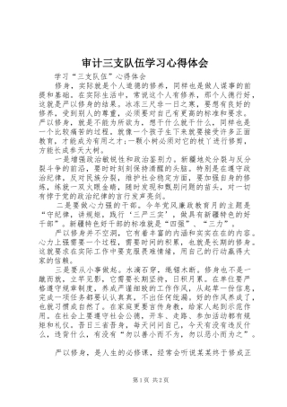 审计三支队伍学习心得体会