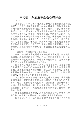 中纪委十八届五中全会心得体会
