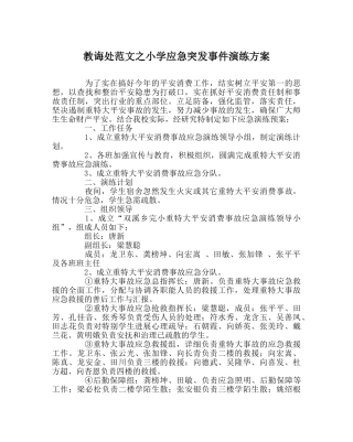 教导处范文小学应急突发事件演练方案 