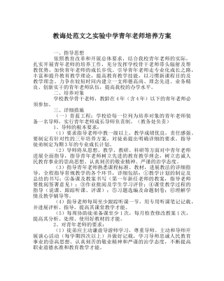 教导处范文实验青年教师培养方案 