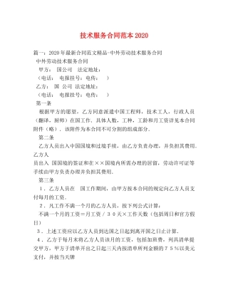 技术服务合同范本2024 (3) 