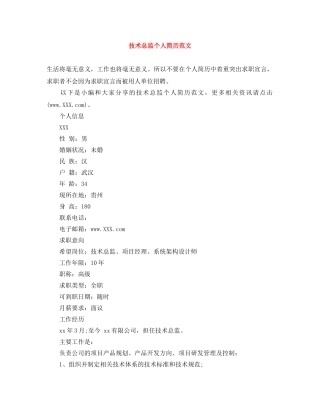 技术总监个人简历范文 