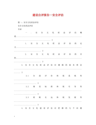 建设自评报告--安全评估 