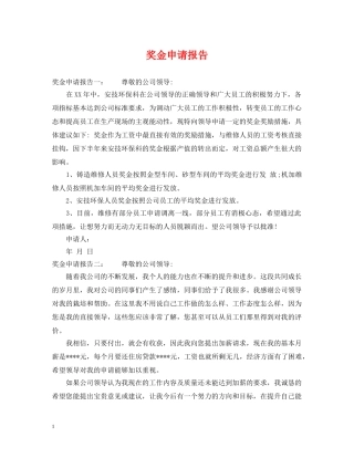 奖金申请报告 