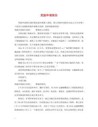 奖励申请报告 