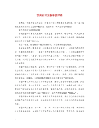 顶岗实习支教学校评语 