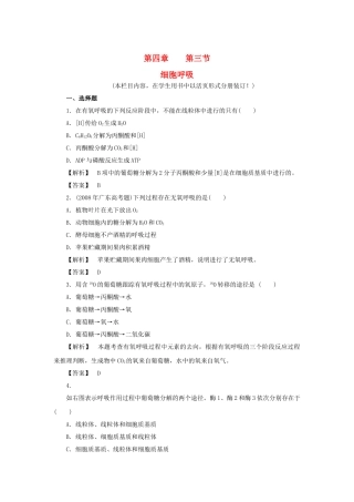 金版高中生物 第四单元 第三节细胞呼吸测试卷 苏教版必修1 
