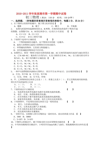 江苏省张家港市20102011九级物理第一学期期中试卷 人教新课标版 