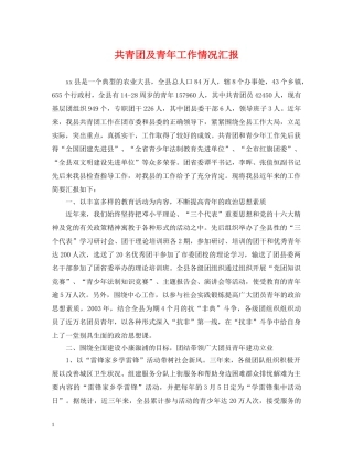 共青团及青年工作情况汇报