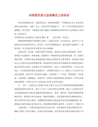 共青团代表大会闭幕式上的讲话