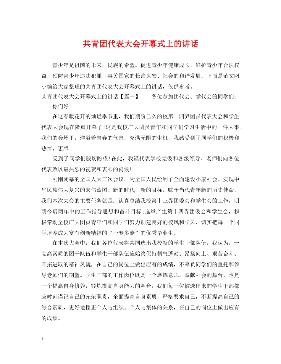 共青团代表大会开幕式上的讲话2_第1页