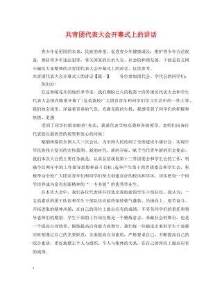 共青团代表大会开幕式上的讲话2