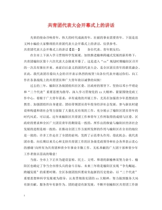 共青团代表大会开幕式上的讲话