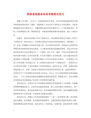 供销系统服务体系考察报告范文