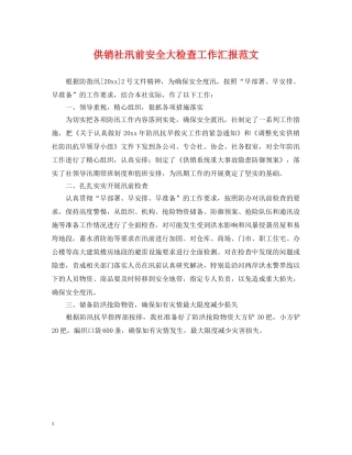供销社汛前安全大检查工作汇报范文