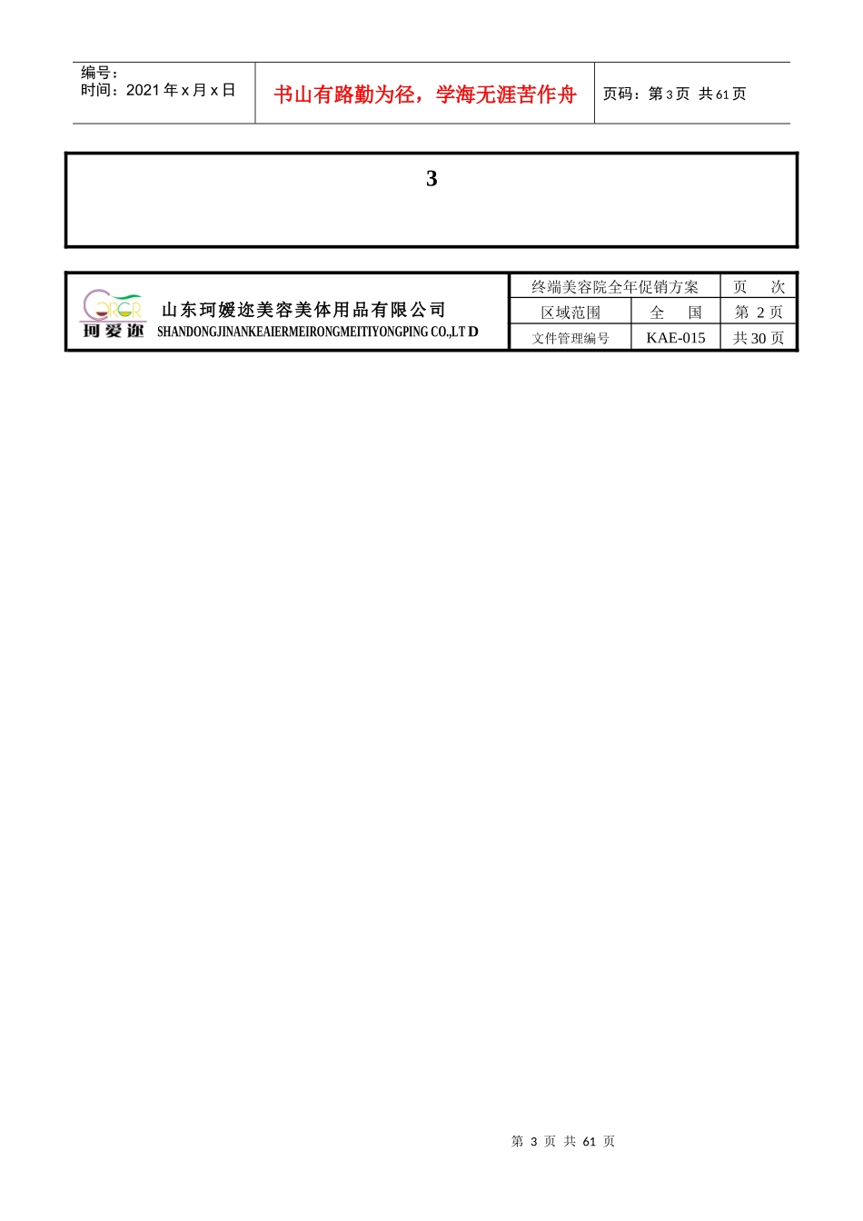 终端美容院全年促销方案_第3页