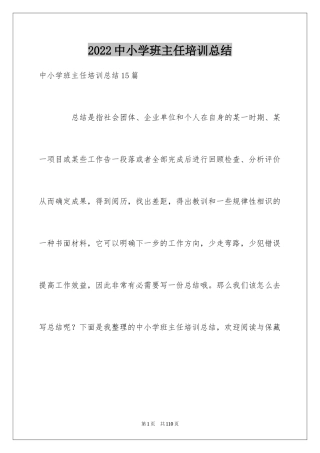 2024中小学班主任培训总结