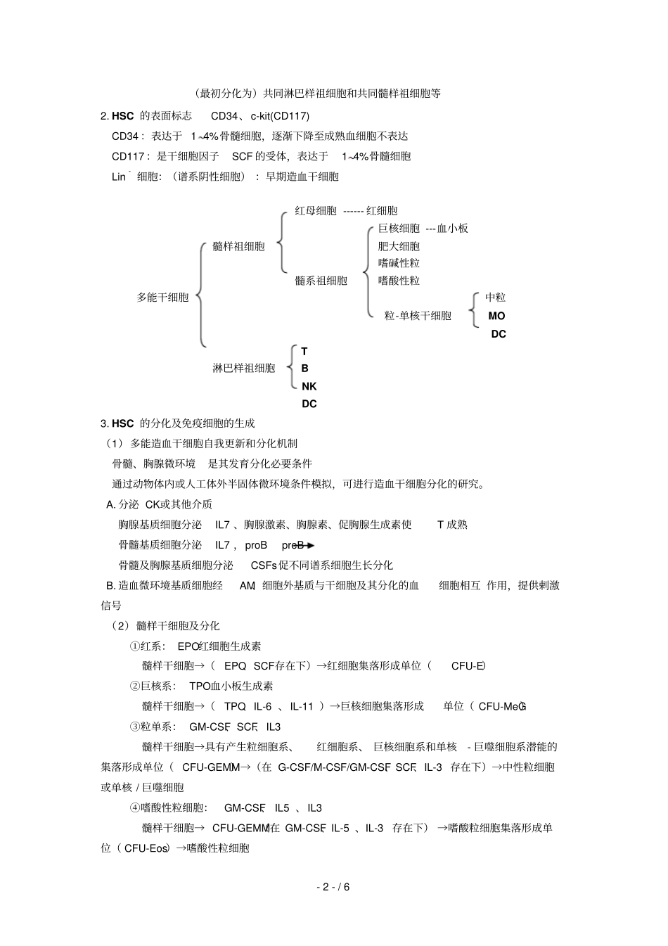 02免疫器官结构与功能_第2页