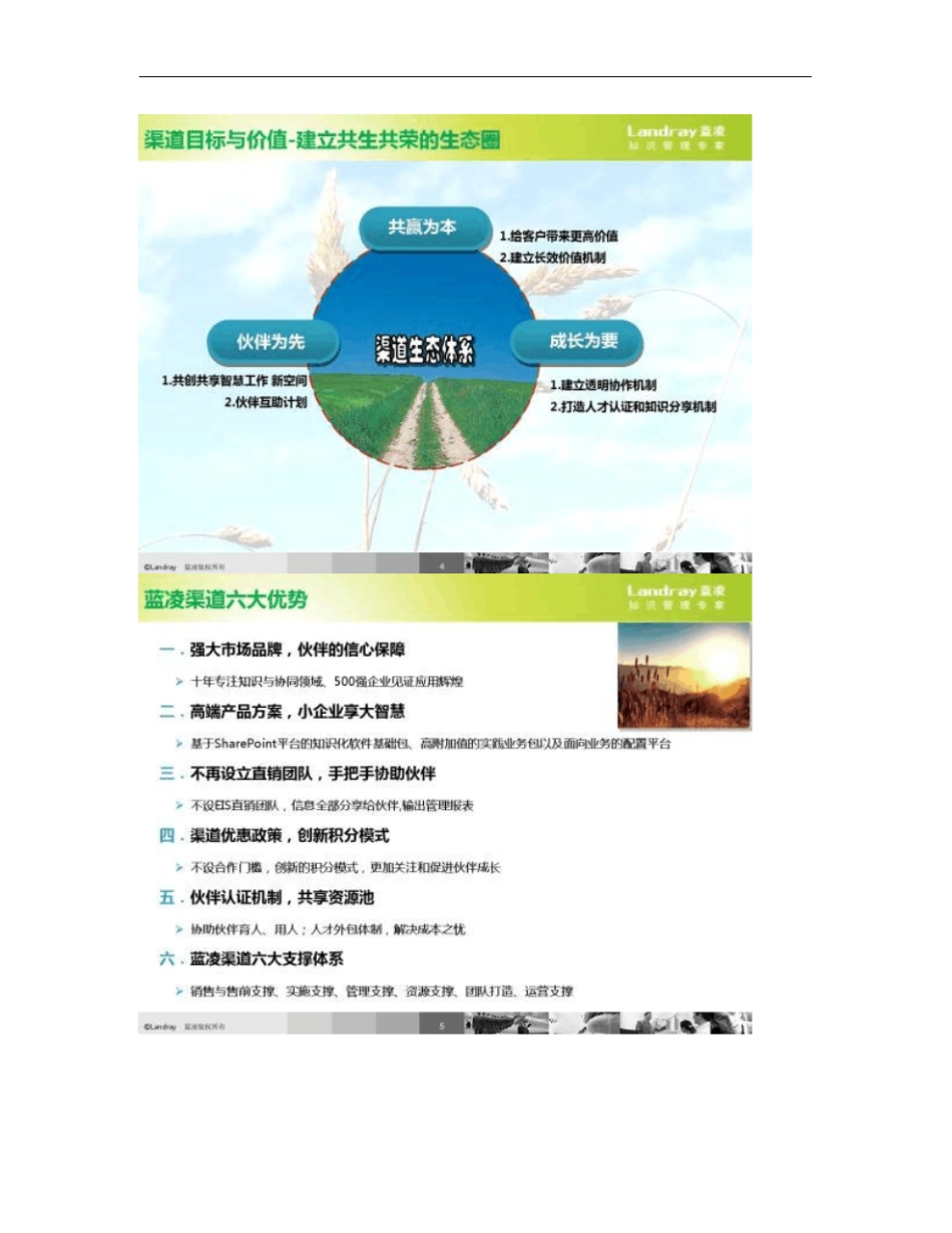 02走进蓝凌渠道生态体系：渠道政策介绍_第3页