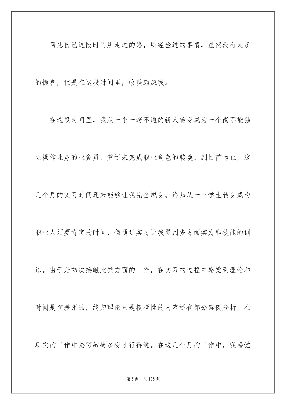 2024IT业务员实习报告_第3页