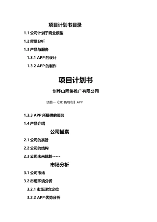 某网络推广有限公司项目计划书