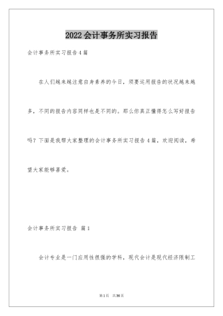 2024会计事务所实习报告_7