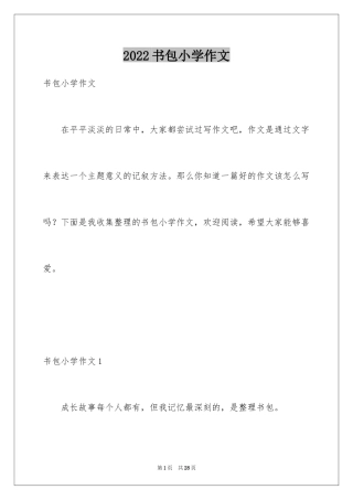 2024书包小学作文_1