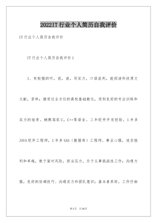 2024IT行业个人简历自我评价