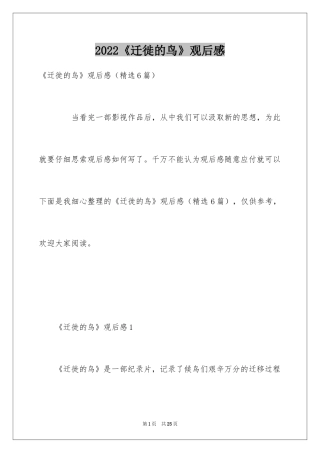 2024《迁徙的鸟》观后感