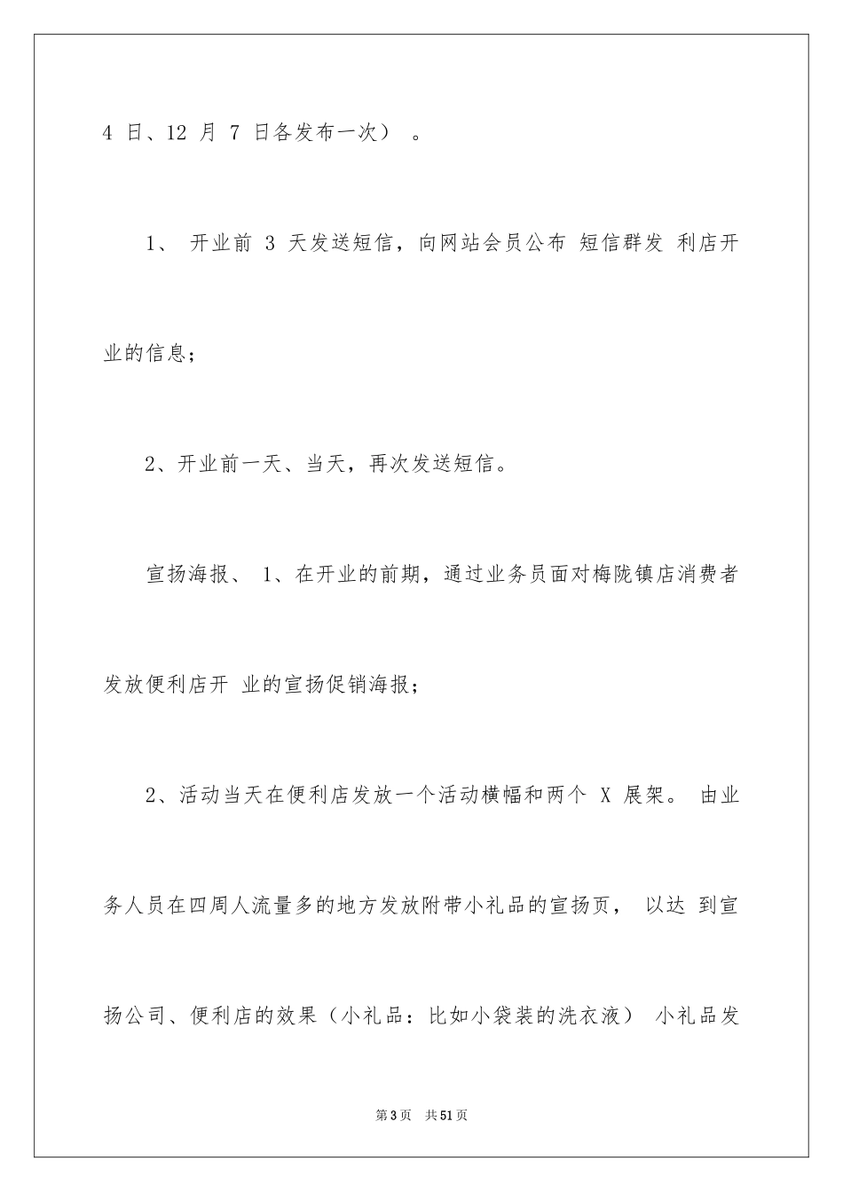 2024促销策划方案_28_第3页