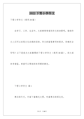 2024下雪小学作文_3